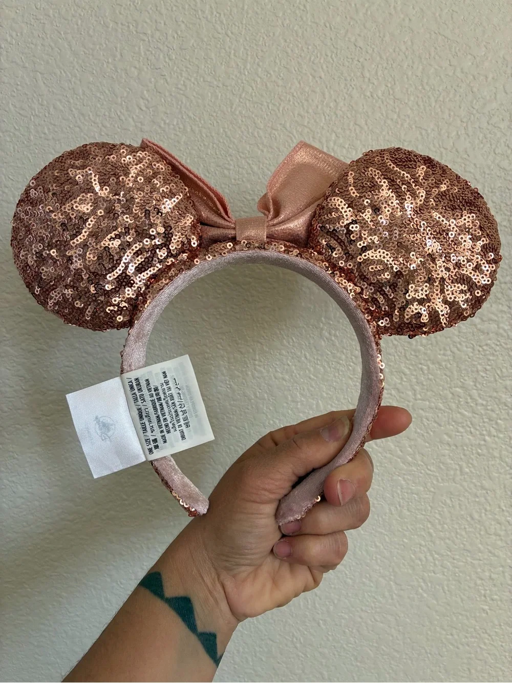 Disney authentic parks